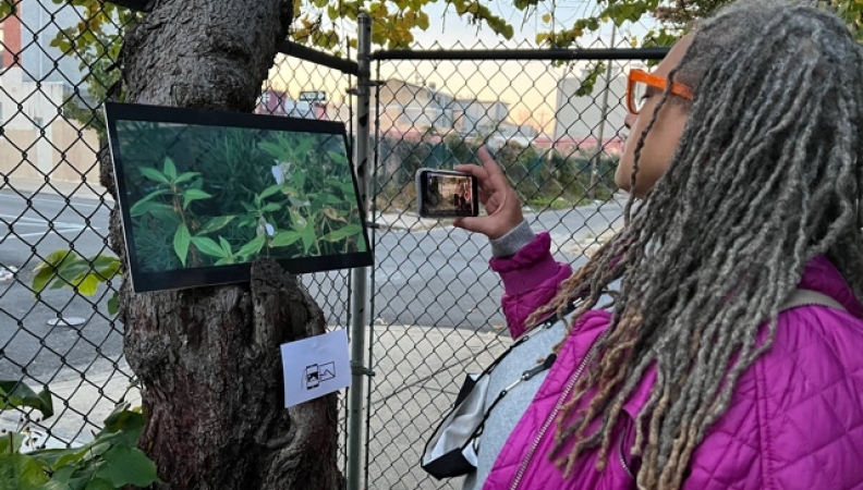 A person with gray dreads using their phone to take a picture of a photo mounted to a tree